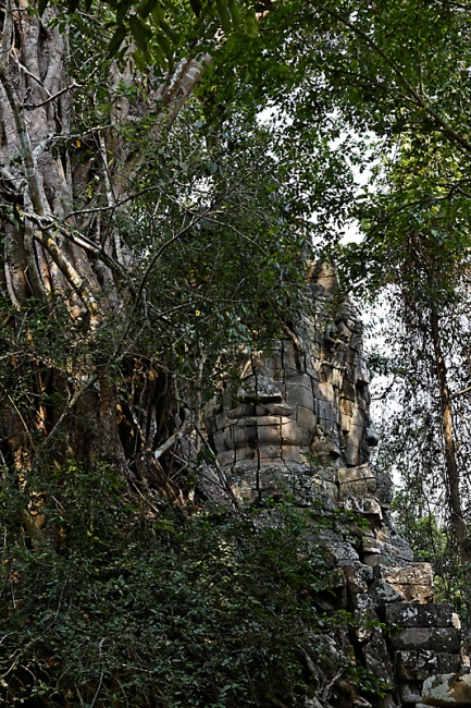 Ta Phrom et environs-009